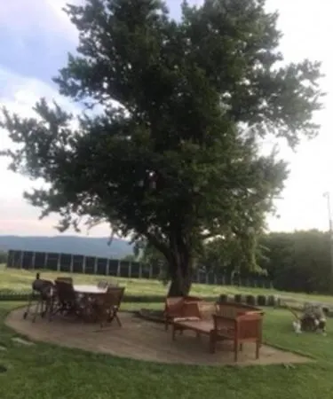 Irem Hanim Ciftligi Villa *